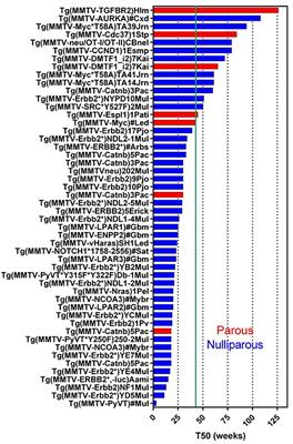 Aging Mouse Models Reveal Complex Tumor-Microenvironment Interactions in Cancer Progression